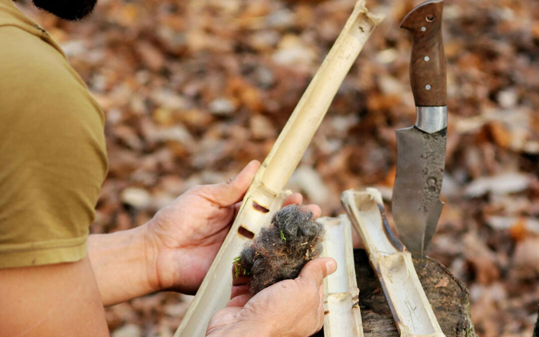 Die 5 besten Survival-Messer für 2024 – Unverzichtbar für jedes Abenteuer